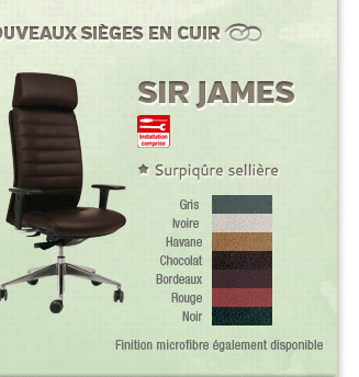 Si&egrave;ge en suir Sir James
