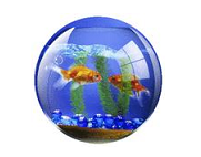 tapis-poisson