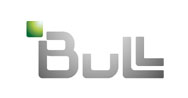 Logo Bull