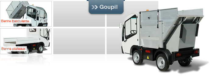 Goupil