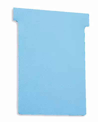 Fiche T indice 2 - bleu - lot de 100