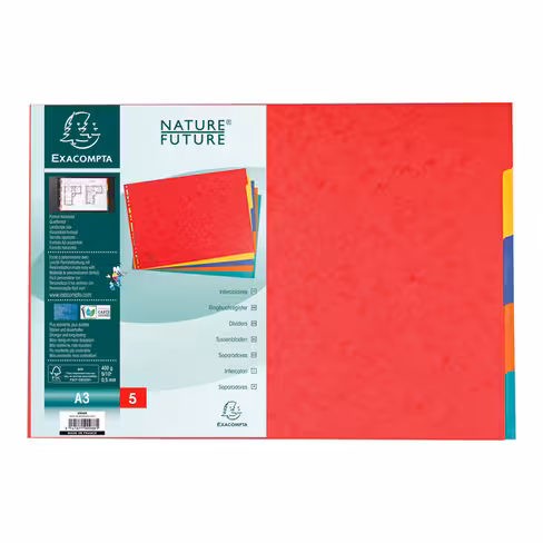 Intercalaire A3 Exacompta - carte lustrée - 5 touches