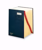 Trieur numérique Emey 760 - 31 compartiments - coloris aléatoire