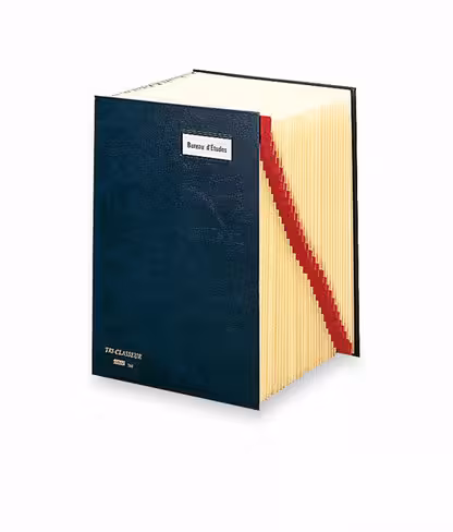 Trieur numérique Emey 760 - 31 compartiments - coloris aléatoire