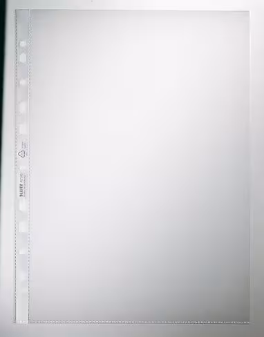 Pochettes perforées Leitz polypropylène graine - 9/100eme - A4 - lot de 100