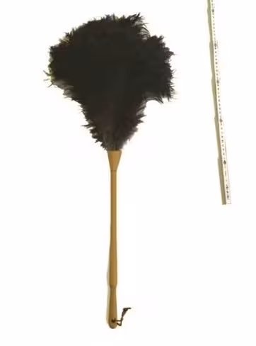 Plumeau d'autruche