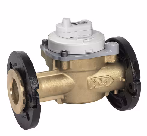 Compteur d'eau industriel Flostar M 65 - radio Everblu - DN 65 - l.300 mm - R400 - corps laiton - cadran verre