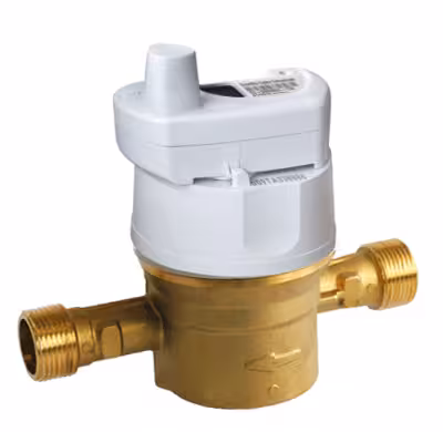 Compteur d'eau vitesse Flodis - radio EVERBLU DN 20 - l. 190 mm - R160 - corps laiton cadran plastique - lot de 5