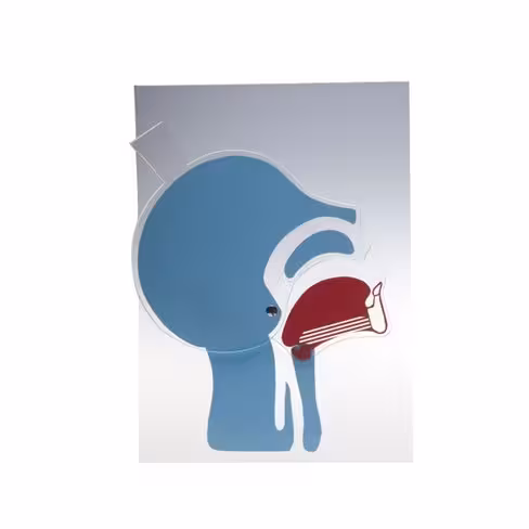 Tête articulée pour libération des voies aériennes