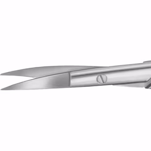 Ciseaux dissection Strully