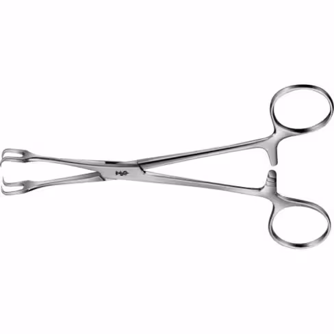 Pince à préhension