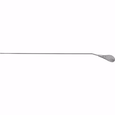 Stylet olivaire