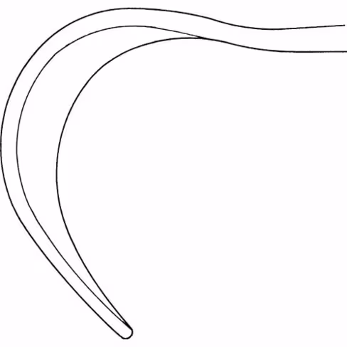 Ecarteur abdominal Fritsch