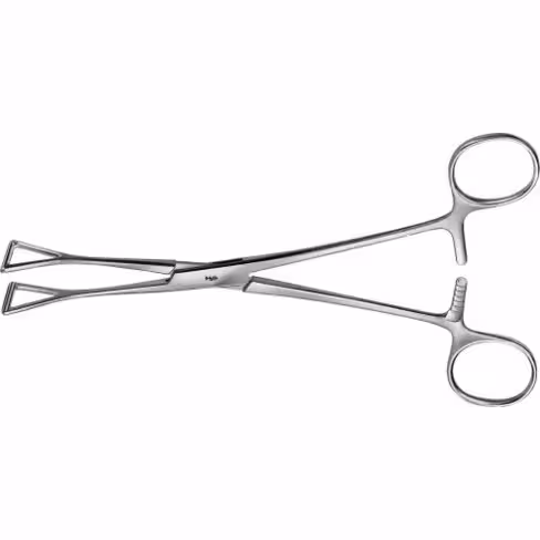 Pince intestinale Collin