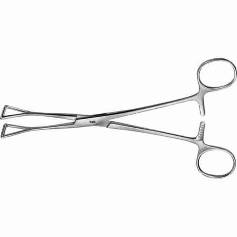 Pince intestinale