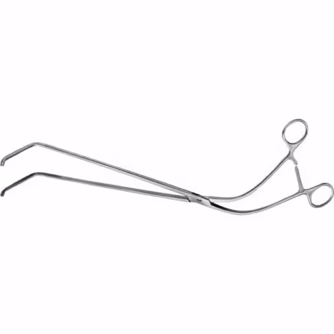 Pince pour rectum Mueller