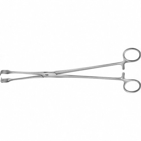Pince utérine Schroeder