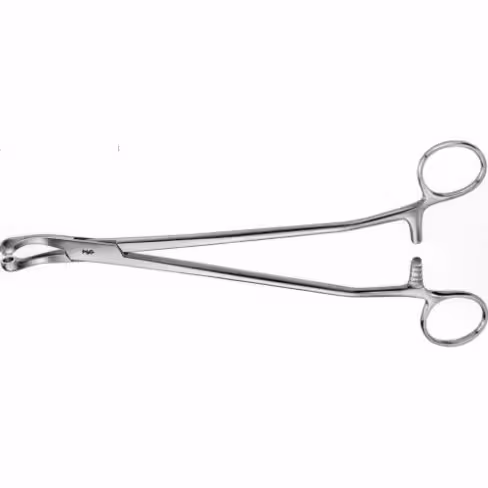 Pince à biopsie Thoms Gaylor