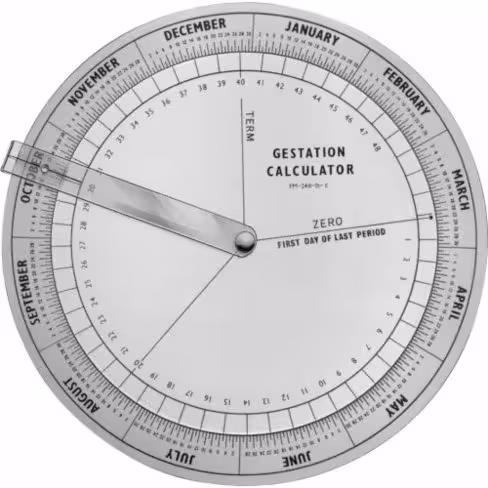 Disque de calcul Scmelz