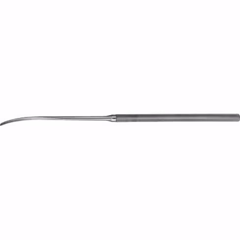 Dissecteur Intima