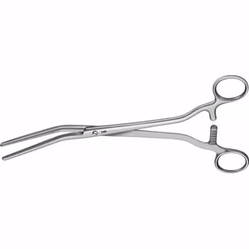 Clamp vasculaire Dick