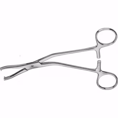 Pince pour cartilage Dingmann