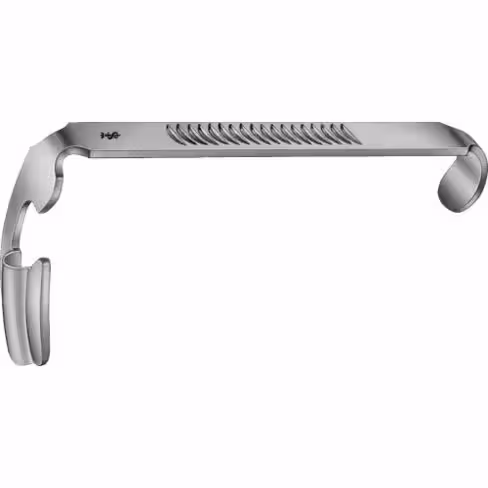 Spatule