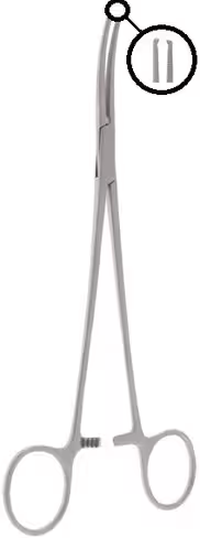 Pince hémostatique Bengolea