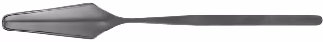 Spatule cérébrale Clovis Vincent