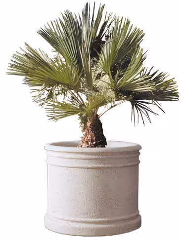 Jardinière ronde béton - réserve d'eau - diamètre 70 x h. 60 cm - déchargé dans la limite de 30 m