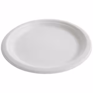 Assiette blanche en pulpe - Ø 22,86 cm - lot de 20 cartons de 25