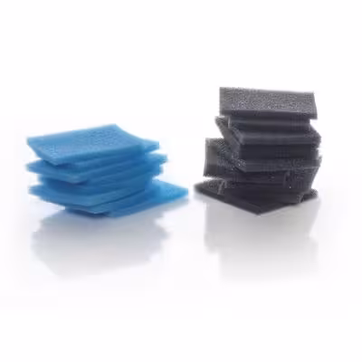 Mousse biopsie gris x 500