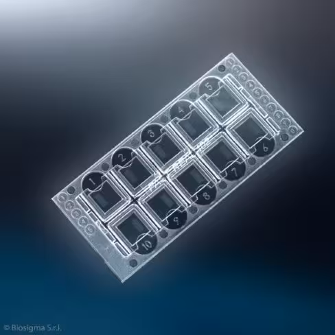 Lame de cytologie urinaire (100 lames de 10 patients)