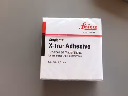 Lame adhésive X-TRA à coins rognés Blanche x 1440