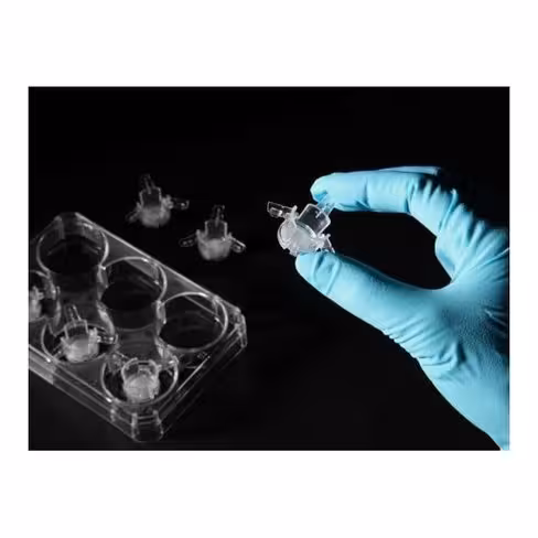 Well Insert Starter Kit