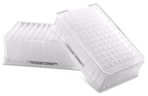 AminoAcid Sample Prep Kit