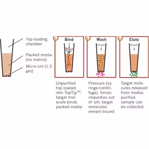 TopTip C-18 pour échantillons de 1 à 10 µl x 96