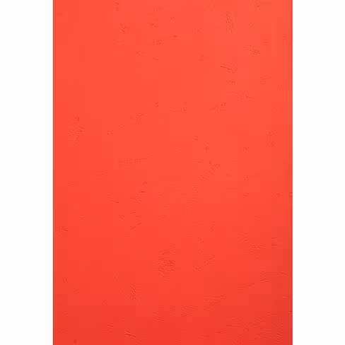 Couverture pour reliure - carton grain cuir - 270 g - 21 x 29,7 cm - rouge - lot de 100