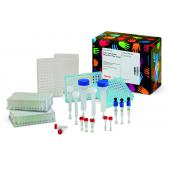 Cartouche desalting chromato 5 ml x 5