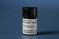 Réactif ez-link biotin-hpdp 50 mg