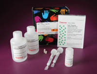 Nab protein l spin kit 2 ml