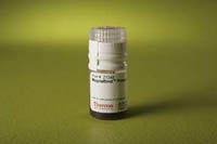 Bille de séparation magnétique magnabind protein a beads 5 ml protéique magnétique x 5