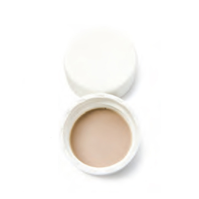 Bouchon plein 20-400 joint téflon x 100