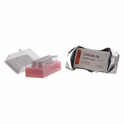 Lamelle 24 x 60 mm x 100