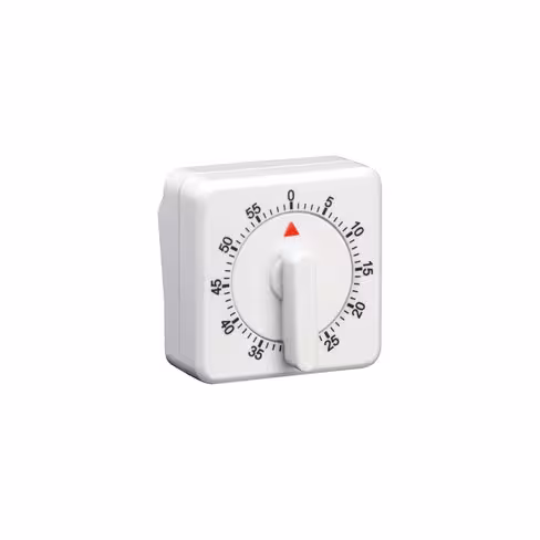 Temporisateur mécanique 60 minutes