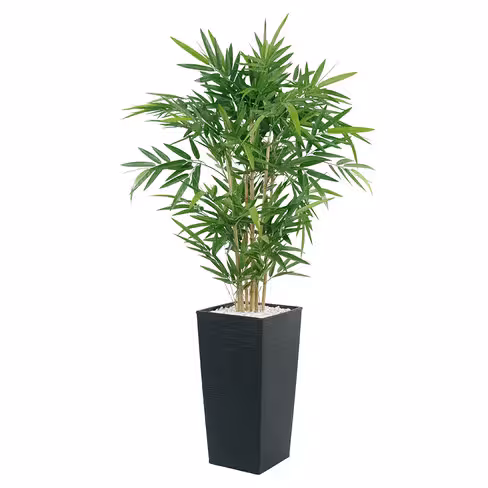 Jardinière polypropylène - l. 30 x h. 57 x pr. 30 cm - avec plante Bambou h. 100 cm