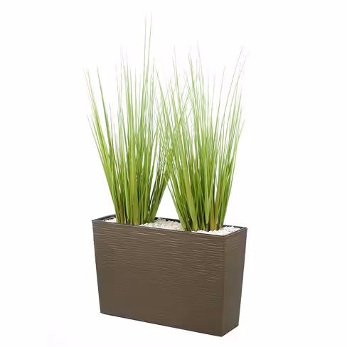 Jardinière polypropylène - l. 56 x h. 36,5 x pr. 19 cm - avec plante Oignon Grass h. 74 cm