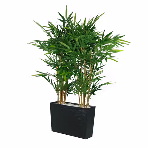 Jardinière polypropylène - l. 56 x h. 36,5 x pr. 19 cm - avec plante Bambou h. 117,5 cm