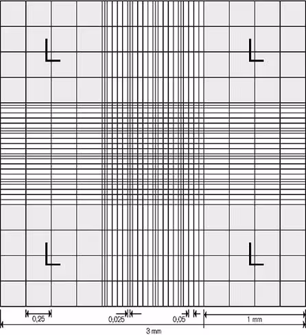 Cellule de numération blaubrand neubauer avec pinces pour lamelles