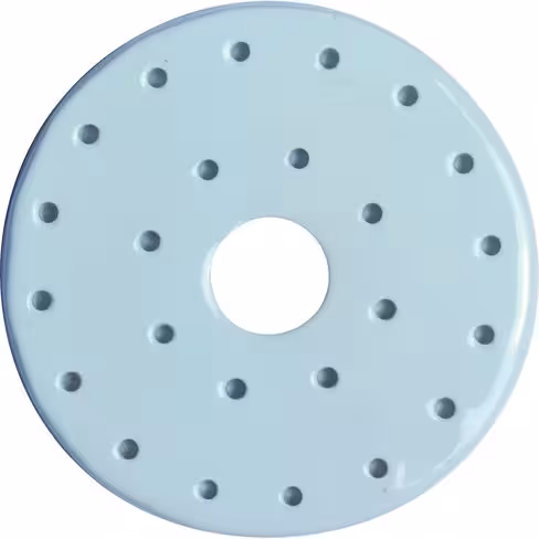 Disque porcelaine pour dessiccateur Ø 280 mm